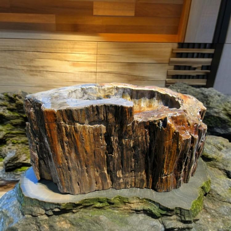 Amazon.co.jp: つくばい 手水鉢 水鉢 大きい 木化石 珪化木 木の化石